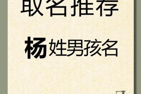 2019年3月31号子时出生的男孩如何起名姓名