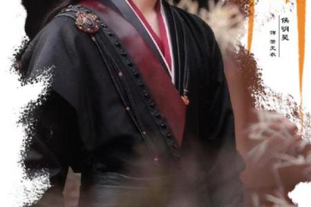 郑元畅紫薇斗数