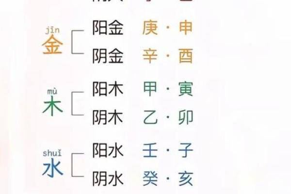 怎么看八字阴阳,八字是怎么数阴阳 怎么看八字阴阳,八字是怎么数阴阳