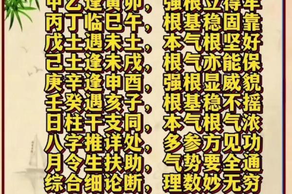 八字信息解析教程，让你轻松掌握八字学问