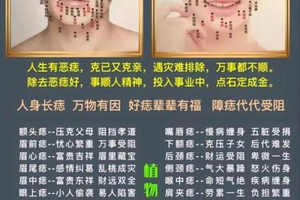 痣相风水脸上哪个部位的痣不能点是为什么