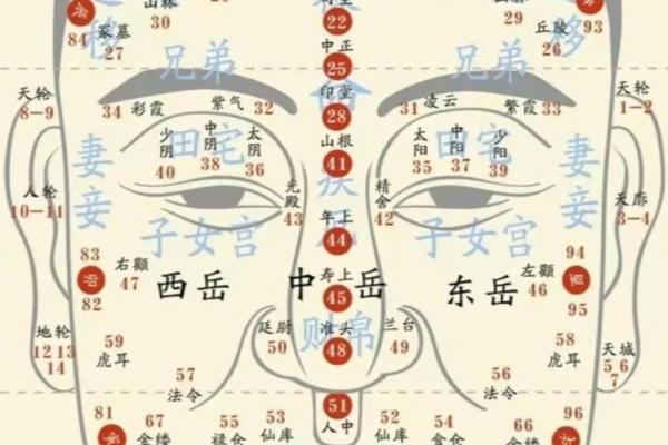 有关印堂面相算命图解 有关印堂面相算命图解
