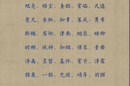 下午5点出生的属羊男孩起什么名，适合什么字姓名