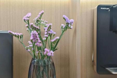 办公室风水不好怎么化解风水摆件