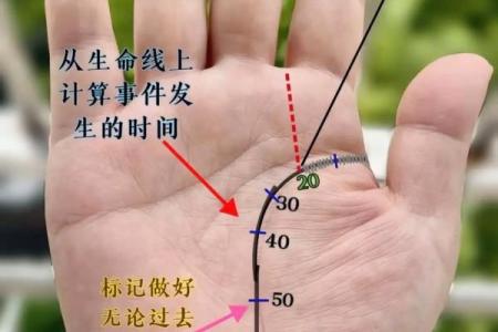 如何看手相算命看手相怎么看 如何看手相算命图片大全图解