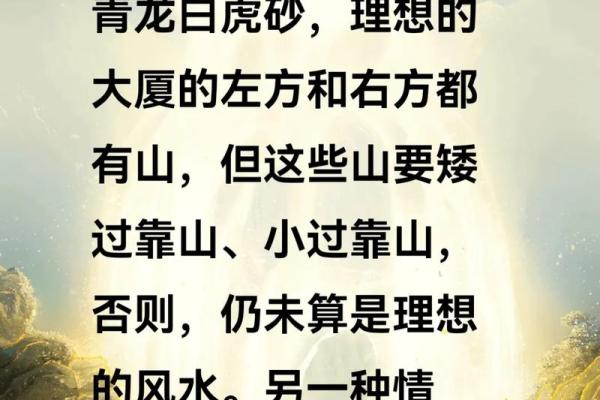 风水房子后面没有山