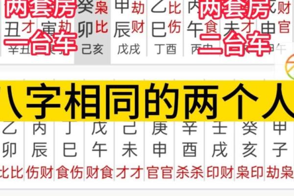 命理分析为何双胞胎八字相同命不同