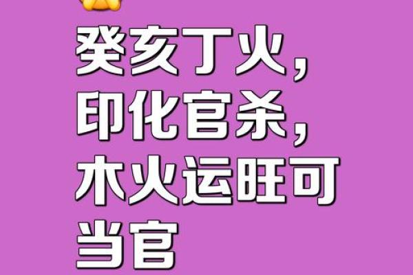 八字癸亥日 八字癸亥日
