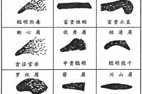 八字眉毛修饰图解女人命运