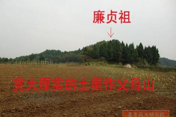 子女总是能当官的祖坟风水