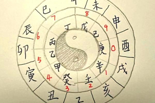 八字排盘怎么看图解 八字排盘怎么看图解