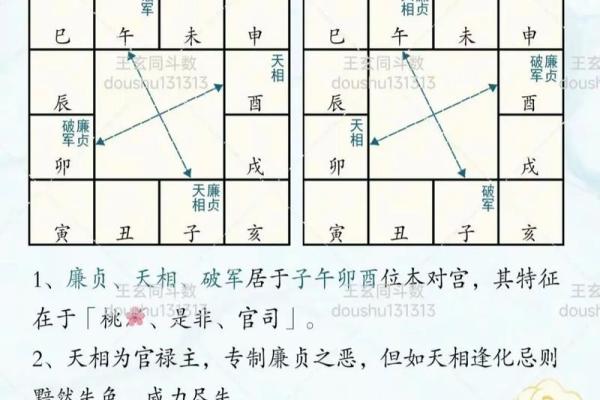 紫薇斗数武贪格 紫薇斗数武贪格