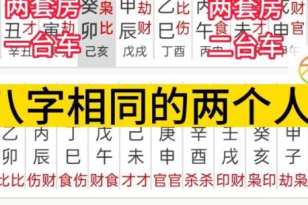 命理分析为何双胞胎八字相同命不同