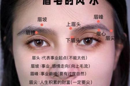 八字眉毛修饰图解女人命运