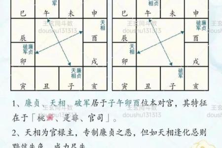 紫薇斗数武贪格