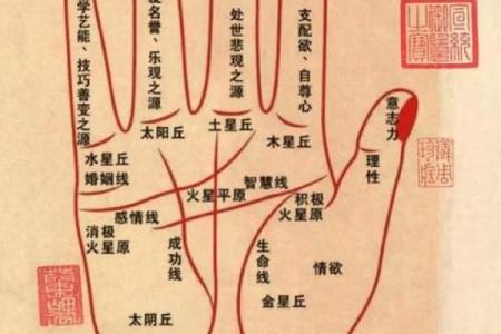 男人看手相算命财运怎么看 男人手中钱财纹多最有钱