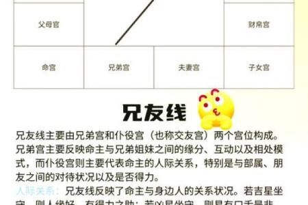 紫薇斗数怎么安天魁