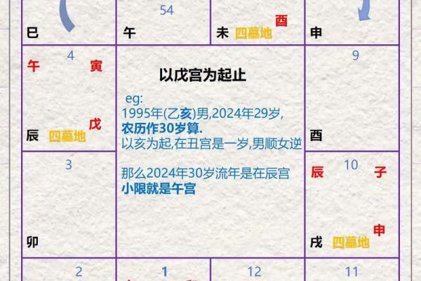 紫薇斗数子斗在卯