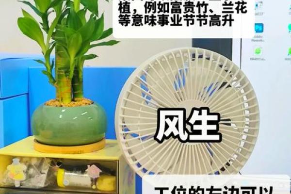 办公室座位朝向有什么风水讲究? 办公室座位朝向有什么风水讲究?