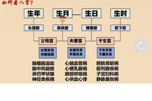 《八字黄金点拨》5（ 甲生寅月戊辰时 ）