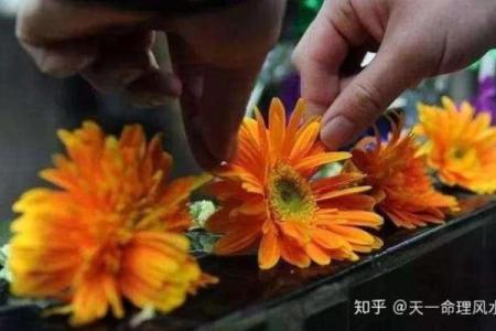 风水上清明节可以理发吗好吗