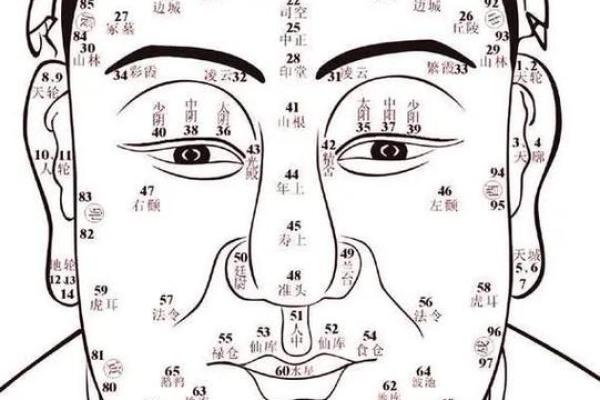 如何从下巴看相算命 如何从下巴看相算命