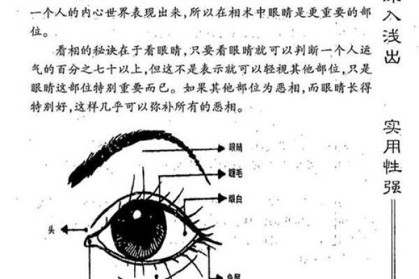 如何从下巴看相算命 如何从下巴看相算命