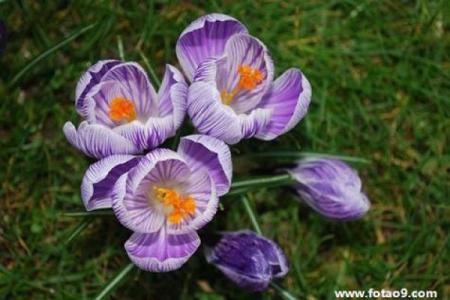 八字算命小偷能信吗