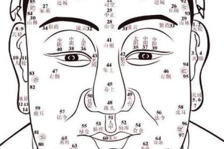 如何从下巴看相算命