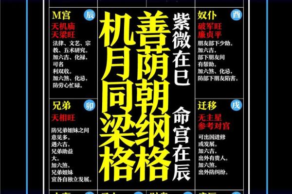紫微斗数命盘12个宫位 紫微斗数命盘12个宫位