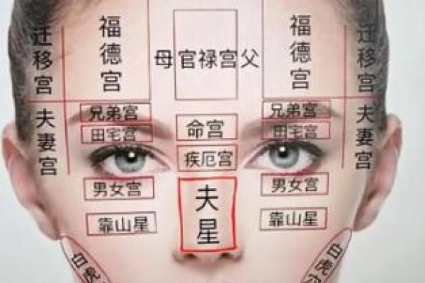算命衰宫什么意思 算命衰宫什么意思
