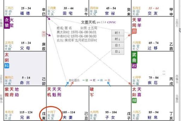 紫薇斗数如何看住别墅 紫薇斗数如何看住别墅