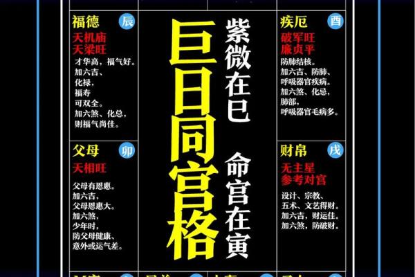 紫微斗数官禄宫天姚 紫微斗数官禄宫天姚