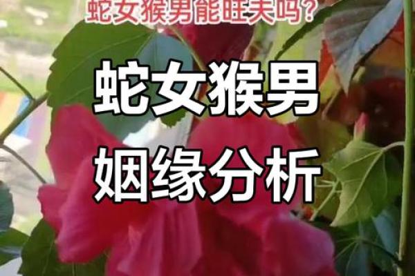 八字合婚属蛇的女人和属蛇男能结婚吗 有没有姻缘