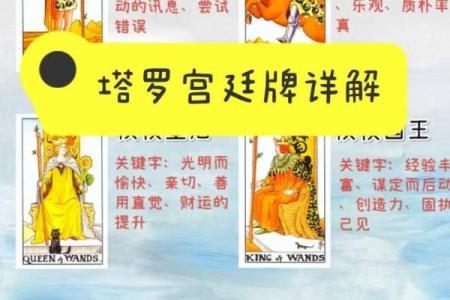 塔罗牌测试十二月学习运