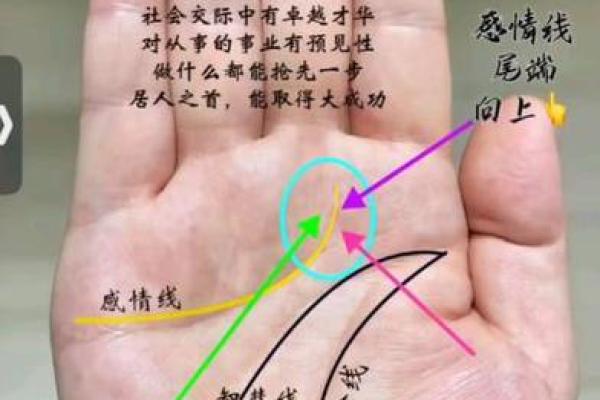 从手相和八字命理解读恋母情节