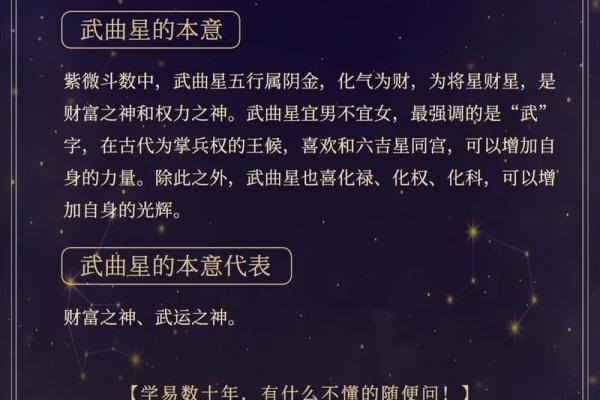 紫薇七杀文曲在疾厄宫