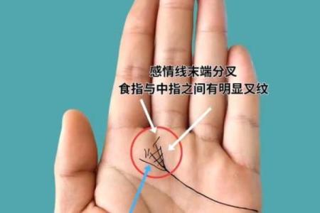 从手相和八字命理解读恋母情节
