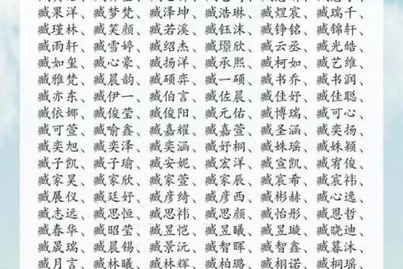 费姓男孩名字大全-费姓男孩起名字大全-费姓名字大全姓名