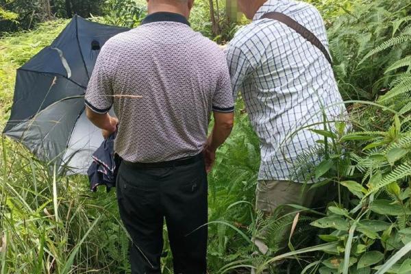 罗顺 风水 罗顺 风水