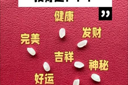 风水七粒米招财最灵的方法是什么意思