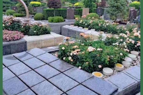 墓地种什么树好风水上有哪些讲究-