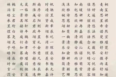 2019年3月25号寅时出生的男孩起名方法姓名