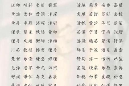 2019年5月2号卯时出生的男孩要怎么起名字姓名