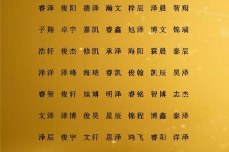 宣姓男孩名字大全-宣姓男孩起名字大全-宣姓名字大全姓名