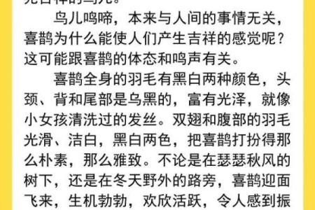 看到喜鹊为什么不吉利风水观点