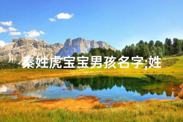 中午1点出生的属虎男孩如何起名,适合什么字姓名 中午1点出生的属虎男孩如何起名,适合什么字姓名