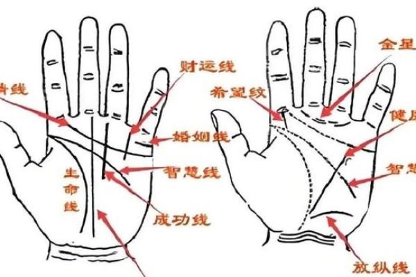 凯帝阿手相算命图解大全03 凯帝阿手相算命图解大全03