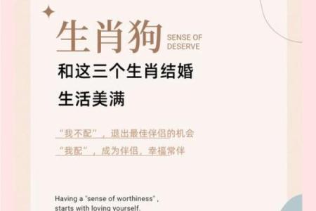 属狗和属牛的八字合吗