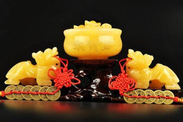 风水口袋放一样东西必定发财指的是什么 风水口袋放一样东西必定发财指的是什么